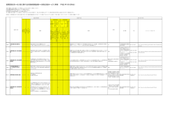 DV被害者（PDF：110KB）
