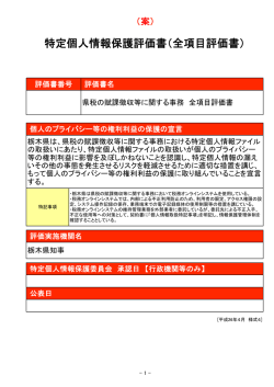 （案）（全文）（PDF：710KB）