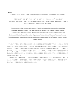 上記論文のダウンロード（pdfファイル）