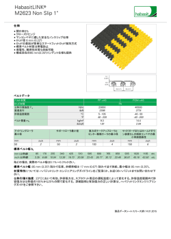 HabasitLINK M2623 Non Slip 1