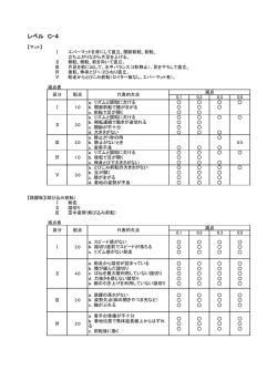 レベル C-4