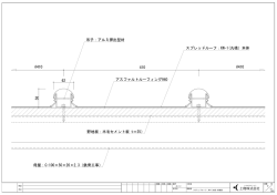 スプレッドルーフ：KW-1(丸桟）本体 吊子：アルミ 5