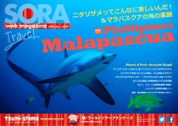 マラパスクア