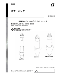 312038b Displacement Pump, Japanese