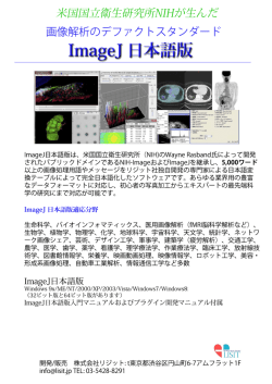 Download File