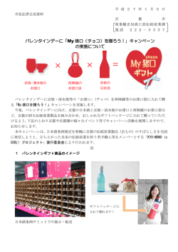 記者会見資料(PDF形式, 667.01KB)