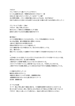 リサーチで得られた情報の詳細なメモ