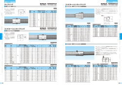 標準プリカ附属品