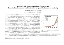 準弾性中性子散乱による共架橋ゴムのダイナミクス解析 Dynamical
