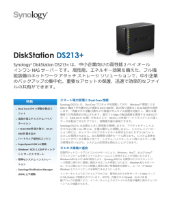 DiskStation DS213+