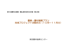 農業・農村戦略プラン 地域プロジェクト活動状況（10月～11月分）