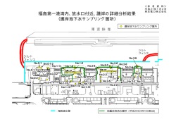 福島第一港湾内、放水口付近、護岸の詳細分析結果 （護岸