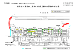 福島第一港湾内、放水口付近、護岸の詳細分析結果