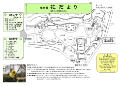 植物園 花 だ よ り