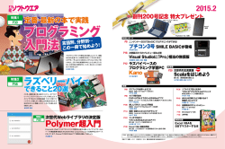 プログラミング 入門法