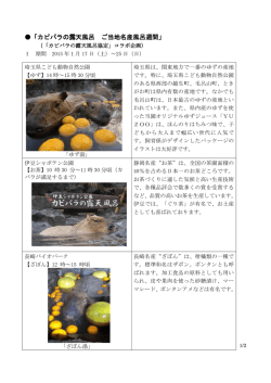 概要は別紙のとおり（PDF：383KB）
