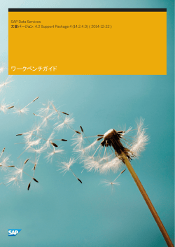 ワークベンチガイド - SAP Help Portal