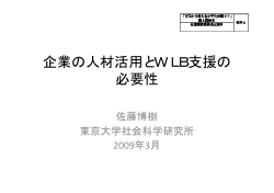 資料2 佐藤委員提出資料（PDF形式：87KB）