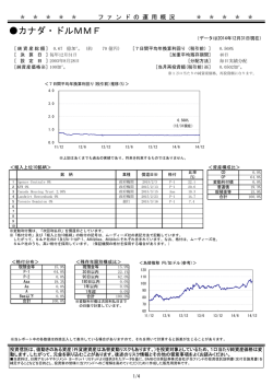 加ドル - エイチ・エス証券