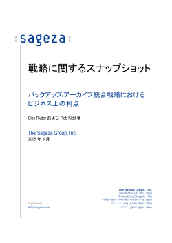 戦略に関するスナップショット - The Sageza Group
