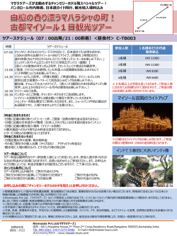 マイソール宮殿のライトアップ