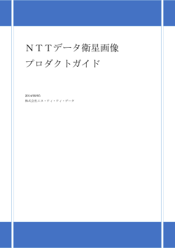 NTTデータ オルソ及びDEM加工プロダクトガイド（PDF）