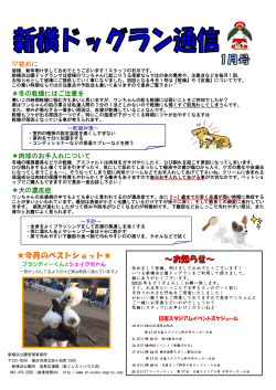 今月のベストショット - 新横浜公園ドッグラン
