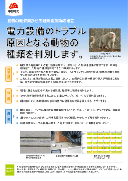 動物の毛や糞からの種判別技術の確立[PDF：421KB]