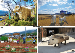 瀬加 横田 俵田 繁昌 各地の干支飾り 2015