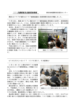 11月農業普及活動現地情報 - MATe 三重県農業技術情報システム