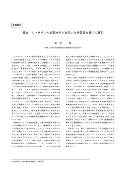 全文 ゼンブン