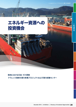 Energy investment opportunities (Japanese version)