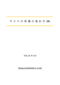 サシバの保護の進め方（案）