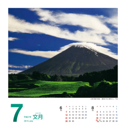 写真タイトル「深緑の茶畑」