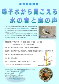 ポスター(PDF：235KB)