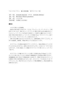 フルーツセーフティ 輸入果物図鑑 【キウイフルーツ】 【学 名】 Actinidia