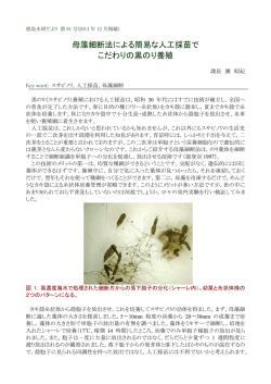 母藻細断法による簡易な人工採苗で こだわりの黒のり養殖