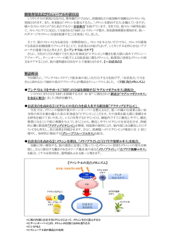 リリース詳細