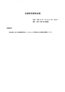 会議資料(138KBytes)
