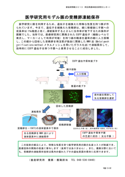 医学研究用モデル豚の受精卵凍結保存