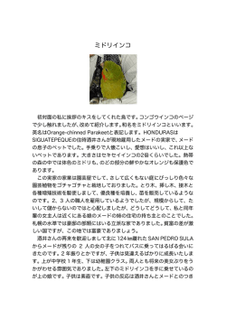 ミドリインコ