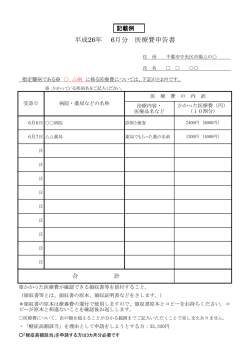 記載例（PDF：211KB）