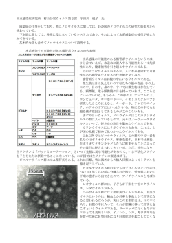 講演録