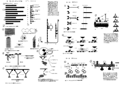 講義ノート(PDF)