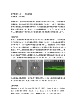 医学教育センター 発生生物学教室