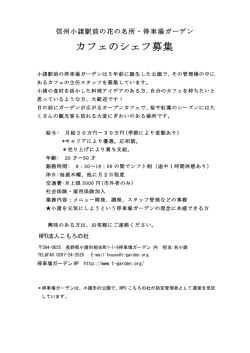 募集案内（pdf）