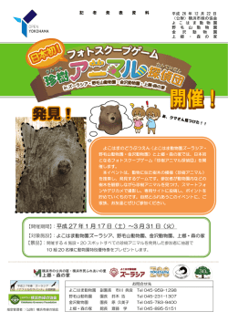 フォトスクープゲーム - よこはまのどうぶつえん