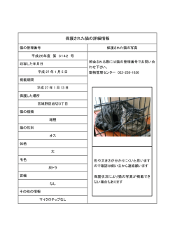 保護猫142号 (PDF:113KB)