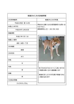 保護犬 第144号 (PDF:94KB)