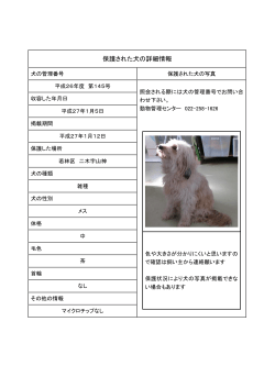 保護犬 第145号 (PDF:101KB)